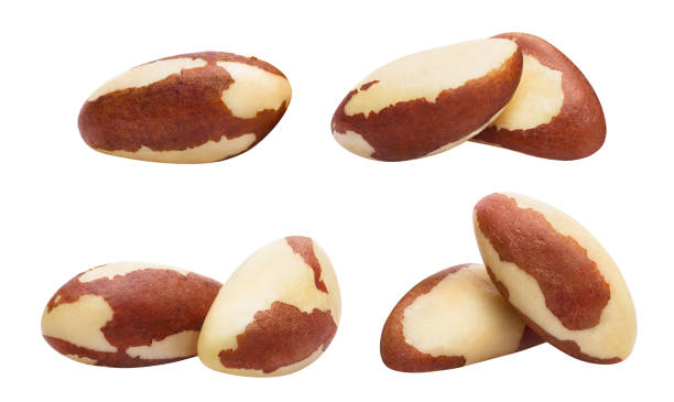 istock Set of delicious brazil nuts on white 1218348809
