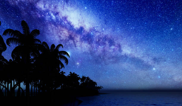 istock palm trees, sunset and the starry sky 1218349857
