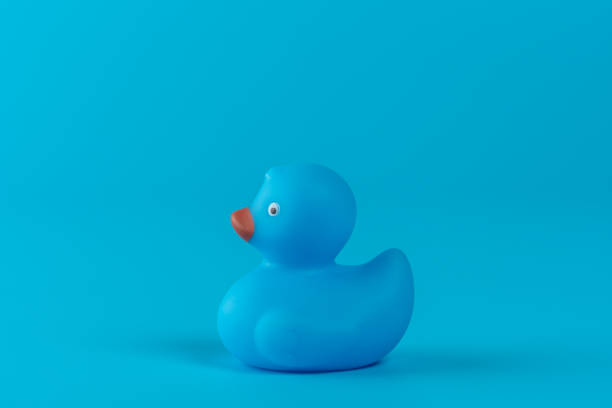 istock Blue rubber duck on blue background. Summer minimal concept. 1218350153