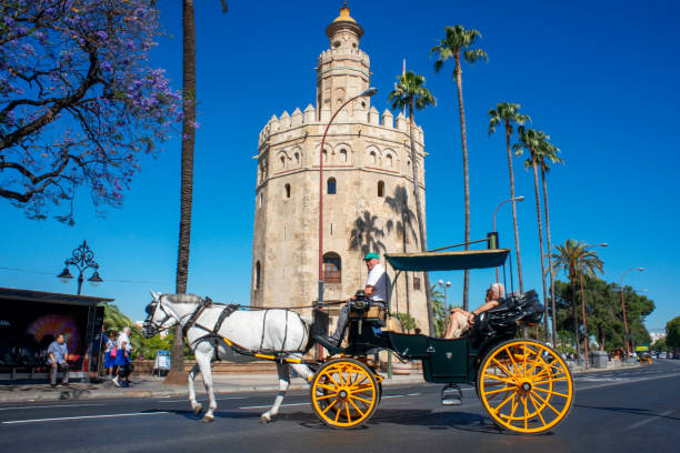 siviglia - seville sevilla torre del oro tower foto e immagini stock