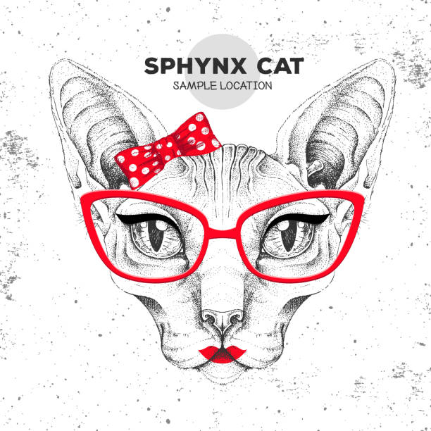 ilustraciones, imágenes clip art, dibujos animados e iconos de stock de gato retro hipster animal esfinx. dibujo a mano bozal de gato animal. niña de los 60 años - make up women pin up girl domestic cat