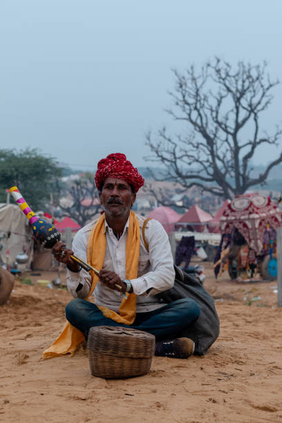 pushkar camel fair - camel fair stock-fotos und bilder