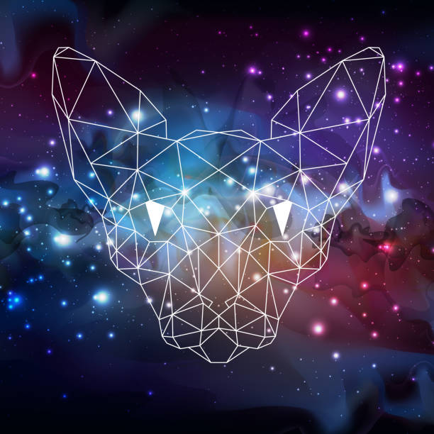 istock Polygonal silhouette of sphynx cat on dark open space background. Abstract Polygonal head of cat 1218361997