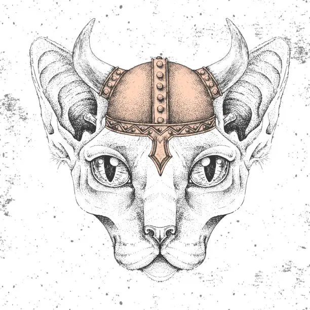 Vector illustration of Hipster animal sphynx cat wearing a viking helmet. Hand drawing Muzzle of cat