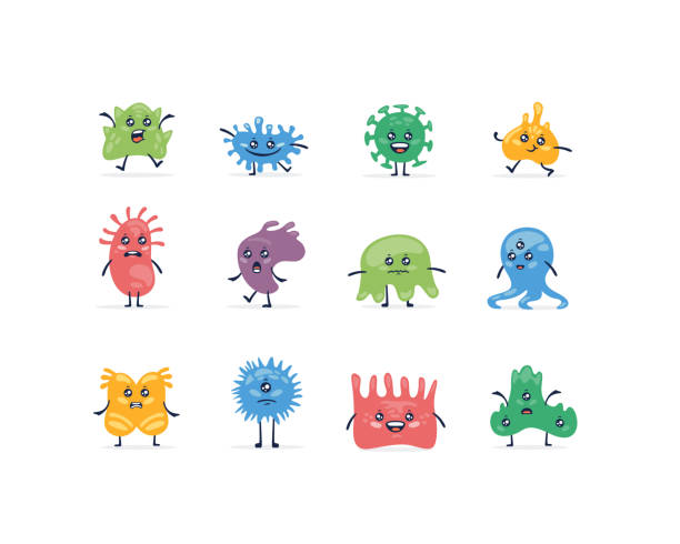 Set of various colored cartoon bacterial pathogen cute microbe isolated on white Set of various colored cartoon bacterial pathogen cute microbe isolated on white background. Collection of different funny biology microorganism vector flat illustration human cells stock illustrations