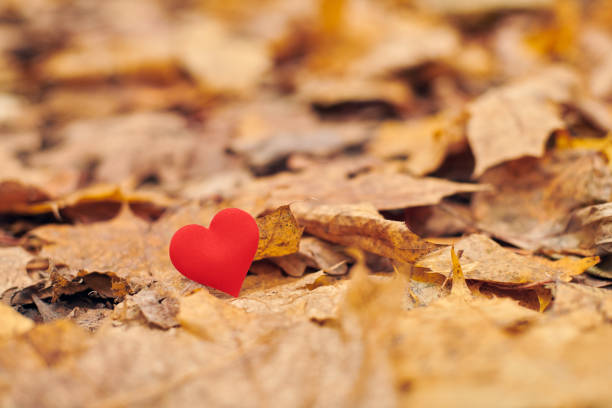 istock Infatuation, one-sided romantic love concept 1218365050