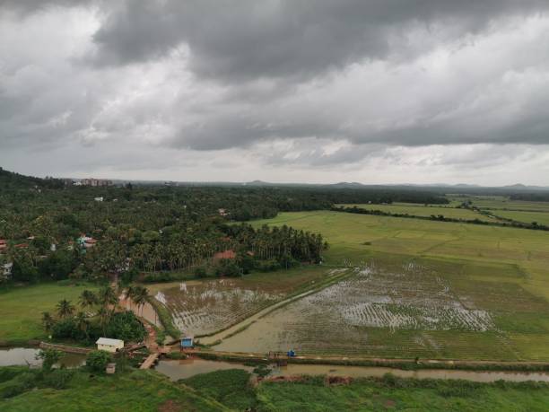 istock Paddy field and woods including house and sky 1218365139