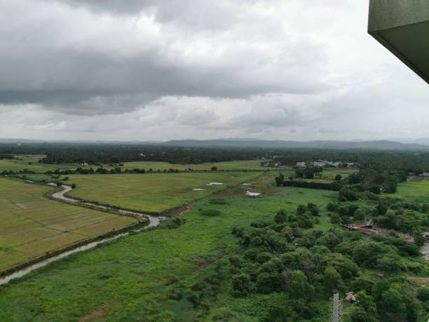 istock Paddy field and woods including house and sky 1218365149