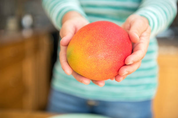 Senior woman is eating mango in her kitchen, Slovenia, Europe. Nikon D850.