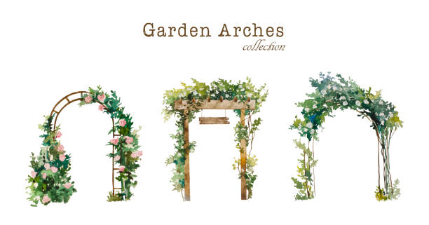 Set of watercolor garden arches with blooming white and pink roses. Original illustration for wedding environment and landscape design Set of watercolor garden arches , wooden and metal, with blooming white and pink roses. Original illustration for wedding environment and landscape design, isolated on white background wedding trellis stock illustrations