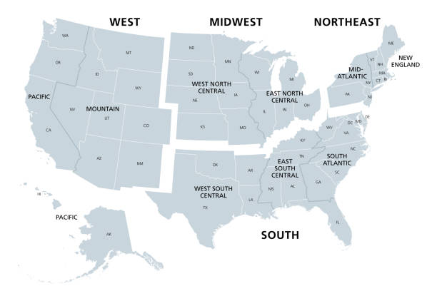 United States divided in Census regions and divisions, gray map United States divided in Census regions and divisions, gray map. Region definition used for data collection and analysis. Most commonly used classification system. English. Illustration. Vector. census stock illustrations