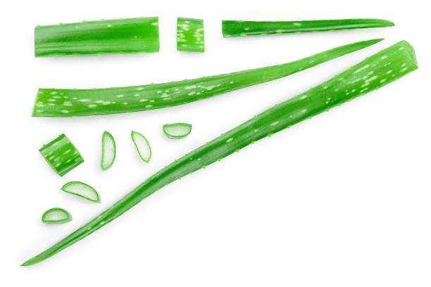 istock Aloe vera with slices isolated on white background with copy space for your text. Top view with clipping path and full depth of field.. Flat lay. 1218367871
