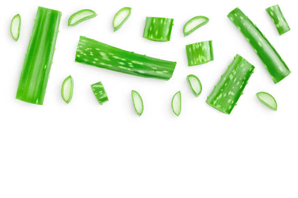 istock Aloe vera with slices isolated on white background with copy space for your text. Top view. Flat lay. 1218367876