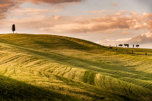 istock Sunny landscape from Val d'Orcia, Tuscany, Italy 1218368560