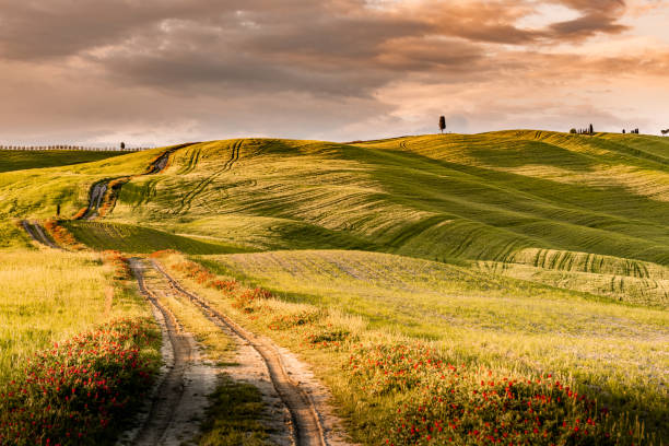 istock Sunny landscape from Val d'Orcia, Tuscany, Italy 1218368754