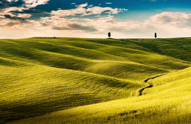 istock Sunny landscape from Val d'Orcia, Tuscany, Italy 1218369350