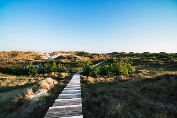 istock Wooden boardwalk leading away through coastal dunes vegetation 1218369663