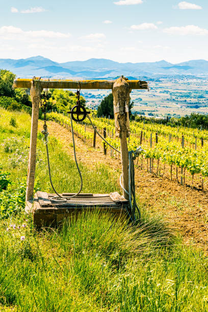 istock Old well near a vineyard 1218369713