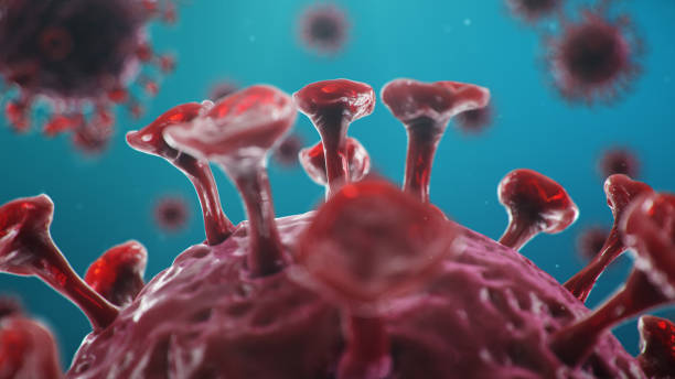 istock 3D illustration outbreak coronavirus concept under the microscope. Spread of the virus within the human. Epidemic, pandemic affecting the respiratory tract. Fatal viral infection. 1218369977