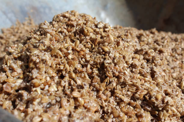 Close up image of wet spent malt grains stock photo