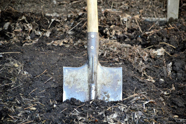 istock Shovel stuck in the ground. gardening time, spring 1218372493