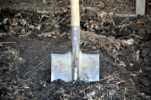 Shovel stuck in the ground. gardening time, spring