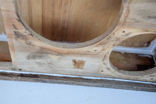 istock Glued with glue pva speaker enclosure. 1218372628