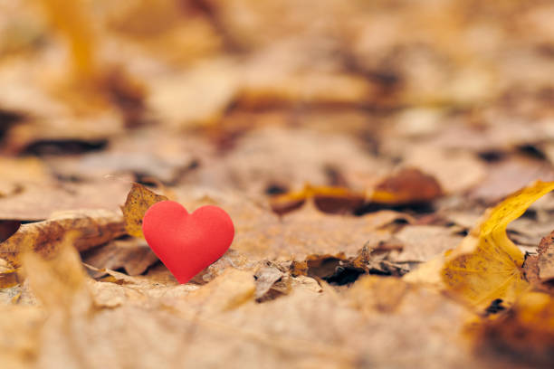 istock Infatuation or unrequited romantic love concept. 1218373761