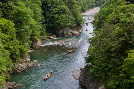 Kinugawa is a beautiful emerald-colored river in Tochigi Prefecture in Japan.\nThis Kinugawa River Cruise is one of the most popular tourist attraction and ride down relatively calm Kinugawa River in wooden boats.