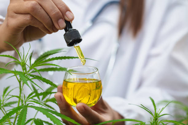 Doctor hand holding bottle of Cannabis oil against Marijuana plant, CBD hemp oil pipette. Cannabis recipe, alternative remedy or medication,  Medical marijuana, medicine concept. Doctor hand holding bottle of Cannabis oil against Marijuana plant, CBD hemp oil pipette. Cannabis recipe, alternative remedy or medication,  Medical marijuana, medicine concept. dab dance photos stock pictures, royalty-free photos & images