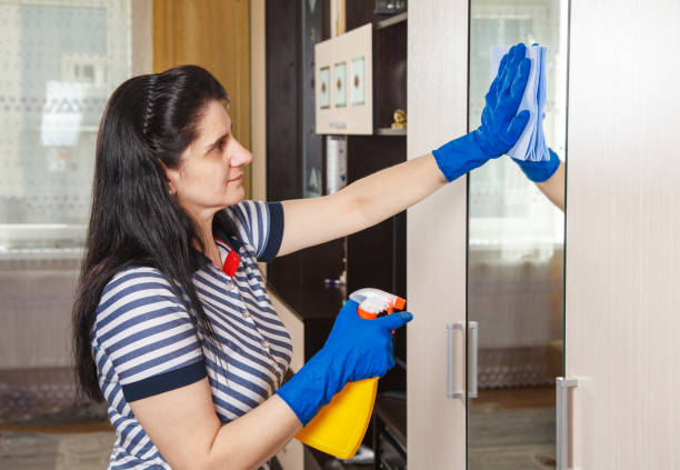 istock woman cleans a mirror in a room 1218380962