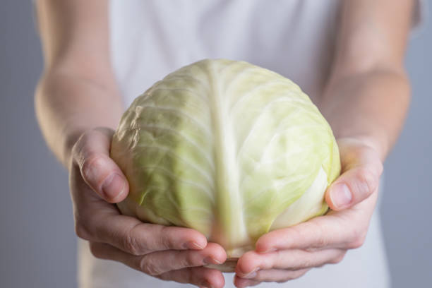 Woman holding showing green cabbage in closeup