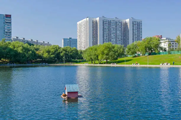 Photo of Pond in Moscow.