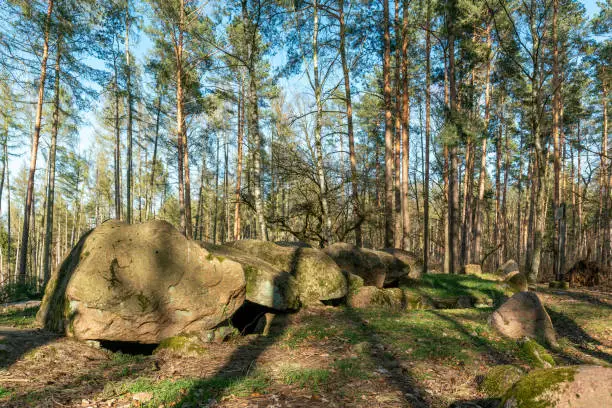 Photo of Prehistoric megalith dolmen Kuechentannen near Haldensleben in Germany