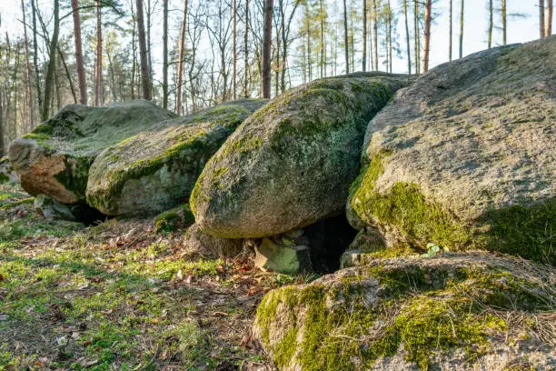 Photo of Prehistoric megalith dolmen Kuechentannen near Haldensleben in Germany