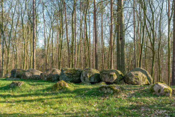 Photo of Prehistoric megalith dolmen Kuechentannen near Haldensleben in Germany