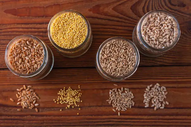 Cereal grains in glass jars on wooden background. Collection of different groats top view barley, oats, millet and wheat. Wholegrain foods with high fiber content flat lay. Healthy diet ingredients.