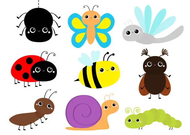 Vector illustration of Insect set. Beetle, ladybug ladybird, dragonfly, ant, butterfly, green caterpillar, spider, honey bee, snail. Cute cartoon kawaii baby animal character. Flat design. White background. Isolated.