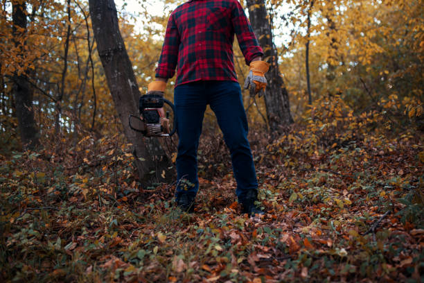 istock Lumberjack holding electric saw 1218385014