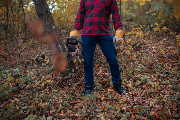 istock Lumberjack with electric saw cutting trees 1218385127