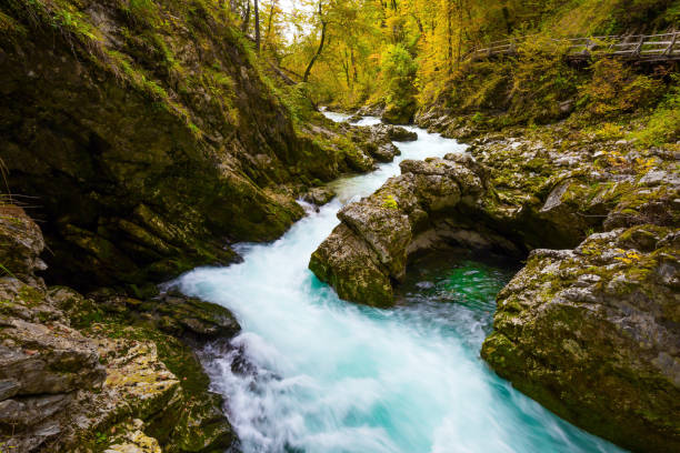 istock The stormy, cold waters of the river 1218386449