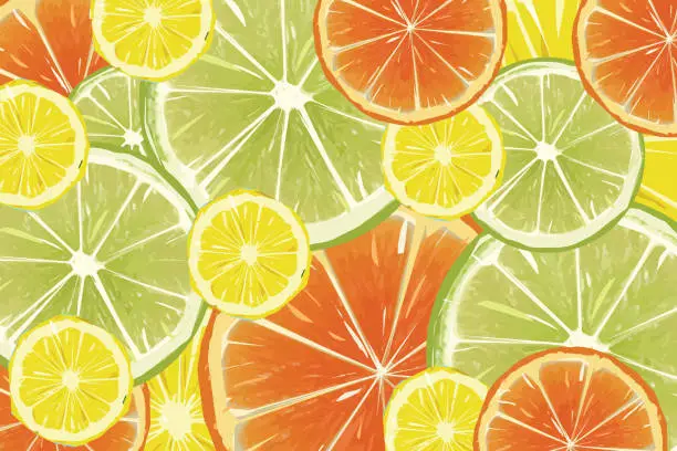Vector illustration of Citrus fruit background - lemons, oranges and limes stock illustration