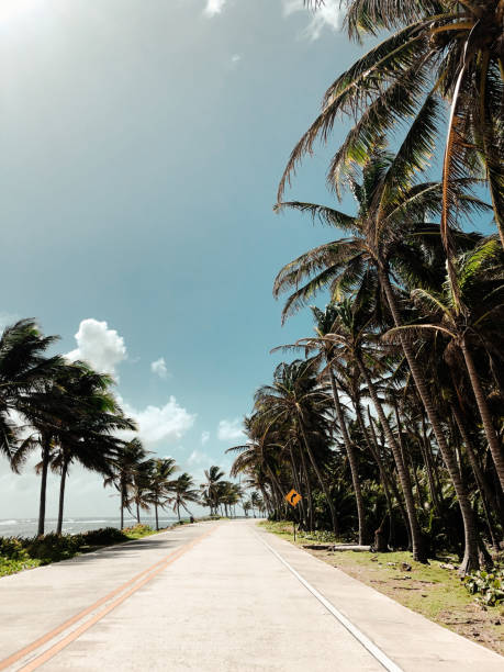 istock tropical beach with palm trees in Colombia 1218396855