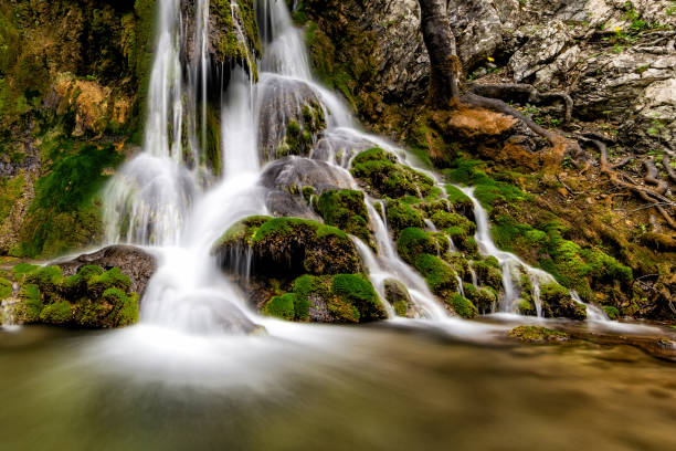 istock Beautiful Beusnita waterfall in the forest with green moss 1218400207
