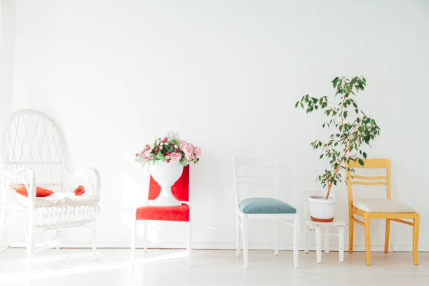 istock different chairs with flowers and plants in the white room 1218403297