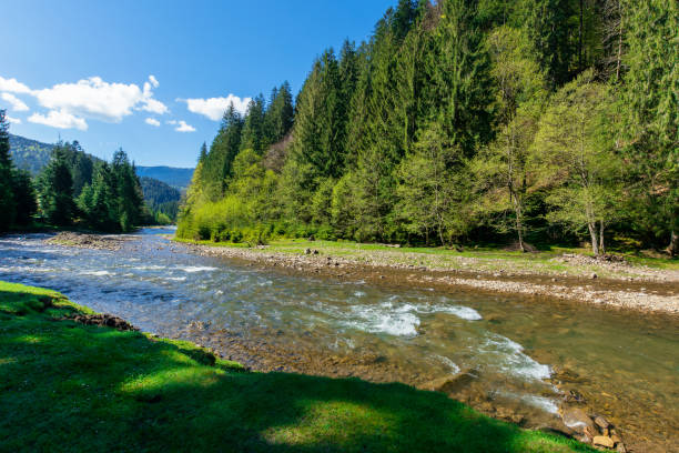 istock river scenery among the forest in mountains 1218404560