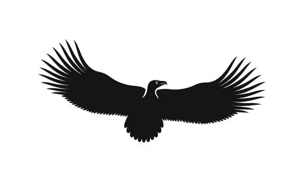 Vector illustration of Vulture logo. Isolated vulture on white background