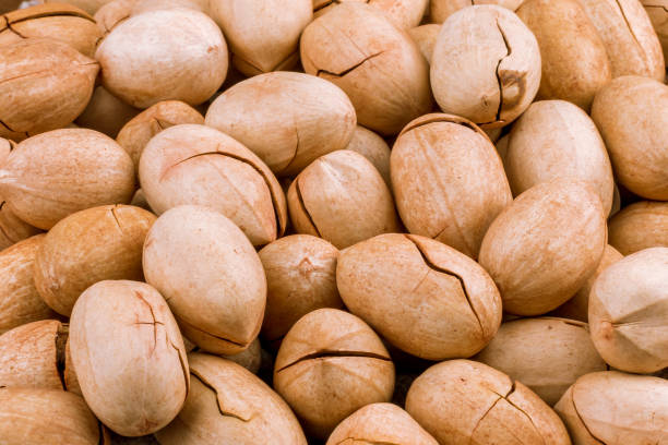 istock unpeeled pecan on wooden background 1218410567