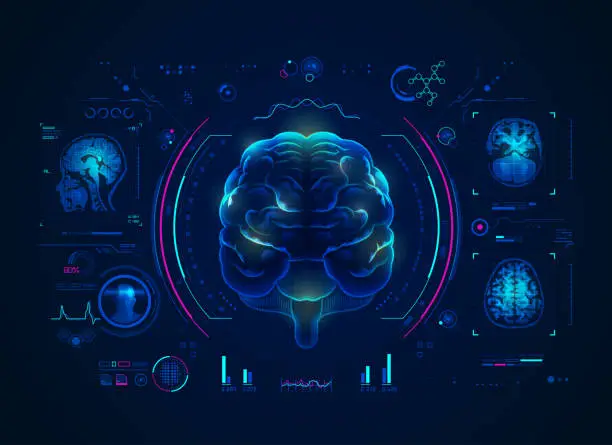 Vector illustration of brainScan2