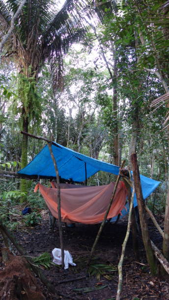 istock Self-made camp in the Amazon rain forest, dense and green. 1218410765